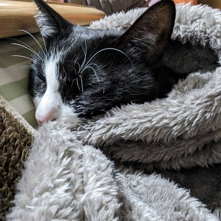 Aa17d245 77ba 46e1 b151 6dd6889431ca 1702874684960