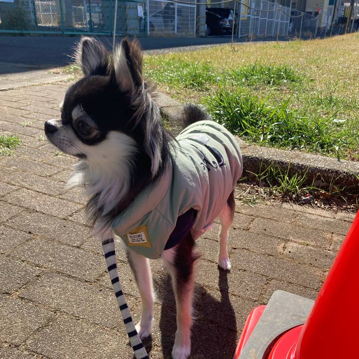 Aa17d64c c28b 4d71 886c 45027886bb30 1613794931698