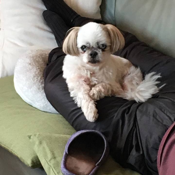 Aa17e155 6718 4512 a308 3e2c87cb3b9c 1645885003351