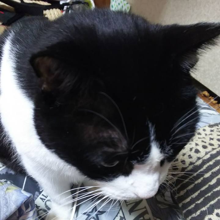 Aa17f458 e1b0 4de2 abc1 774fb4f5f88c 1580420986106