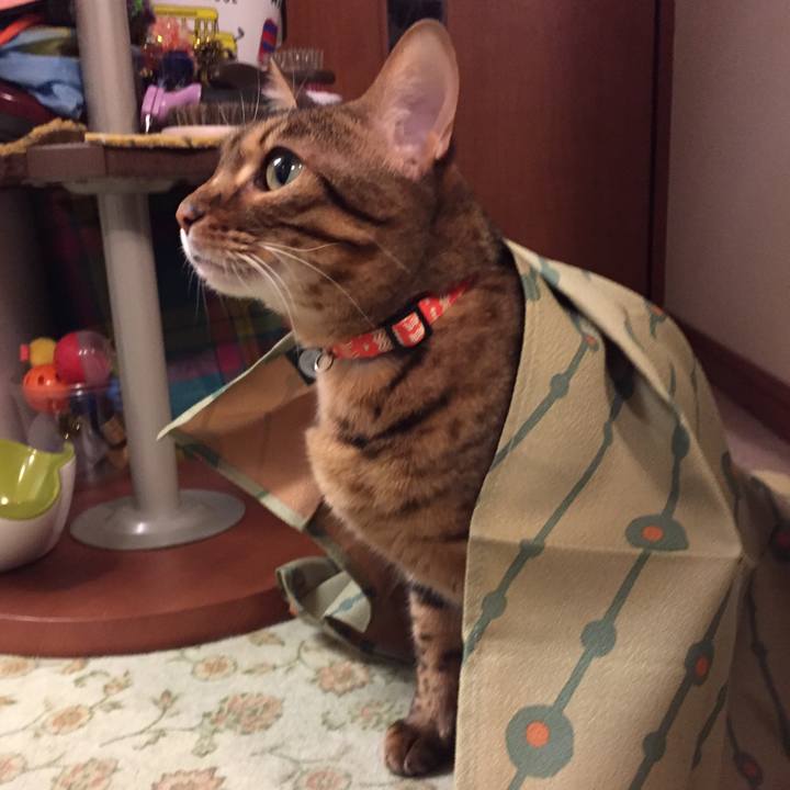 Aa17fa5f 6615 4a25 b83f 1e2d018ef2f7 1515281556814