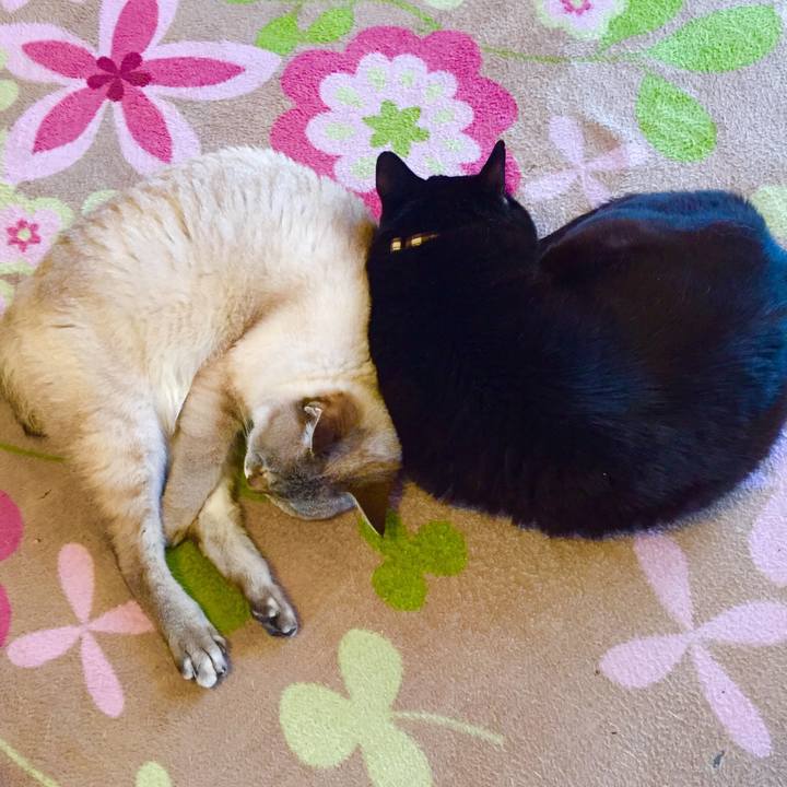 Aa181400 7362 434c b27d 75b89532e76b 1554118444837