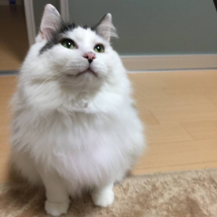 Aa181bc8 bb72 4f8a aa2c 06fd376fe22b 1521563863904