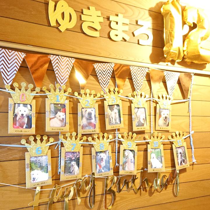 Aa185715 a901 4be2 9233 4f518cfa2a12 1581851497026