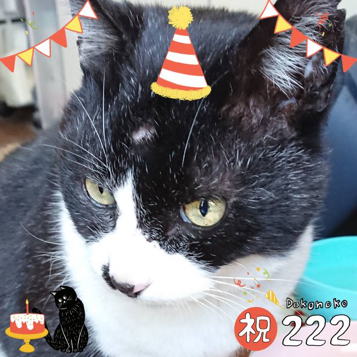 Aa186b32 11ca 4c8e 88c2 9853593cdb3a 1645501029644