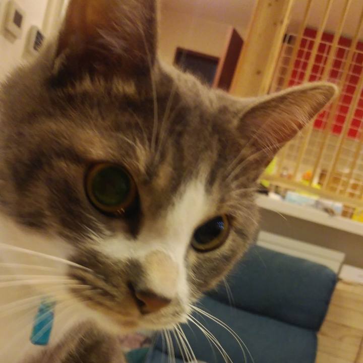 Aa1887ba 6e33 410e b605 cf00a18a7296 1605823449559