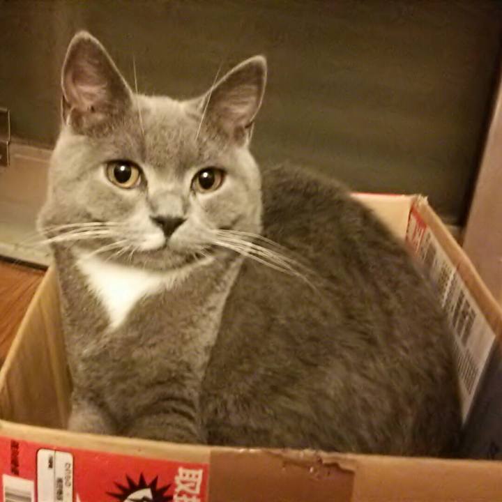 Aa18971f 270c 4dd6 8867 a45dd2f66d7d 1539001958498