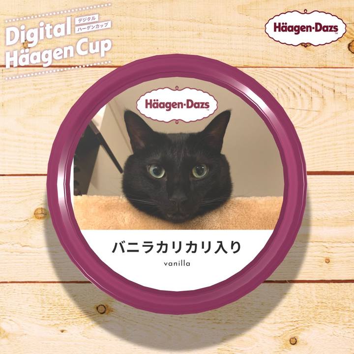 Aa18a14c 976c 4be2 bee0 85387c1dc911 1607833994632