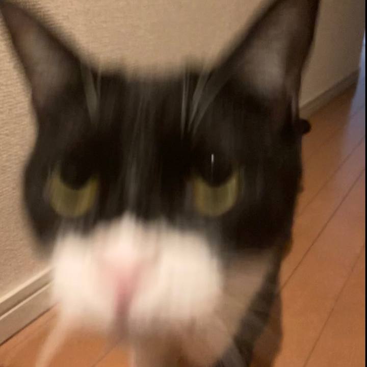 Aa18aee7 ee00 4b58 953e c34fd3955251 1622556007541