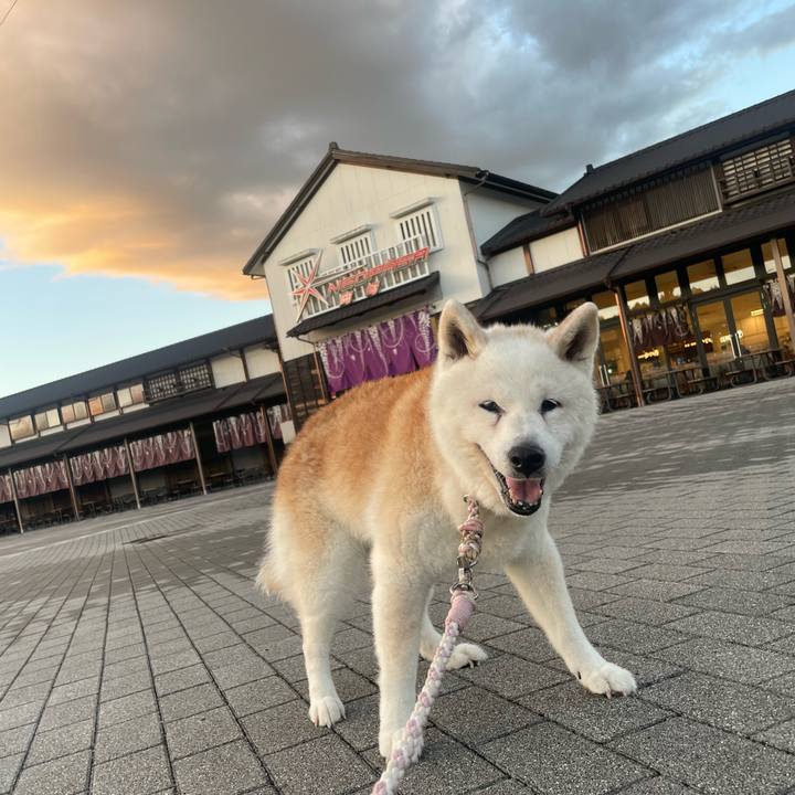 Aa18bbf6 d6e7 45e7 9907 ed1f21e92d53 1757064795450