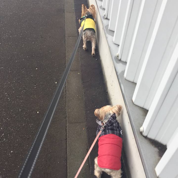 Aa18f43a 3e66 45ac 9bc3 54ff42e8b857 1542673047391