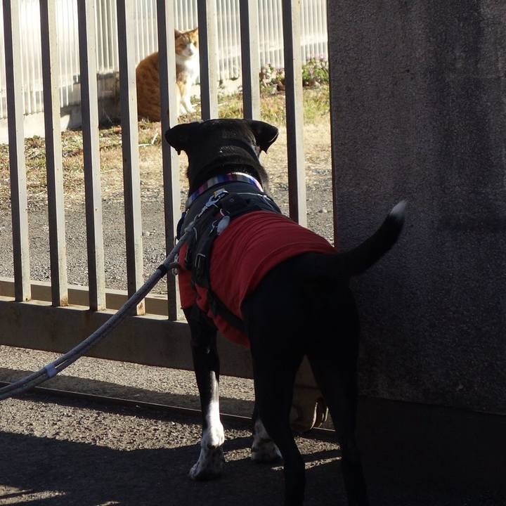 Aa190948 82b8 4859 98a9 edbb64c569b9 1645839038507