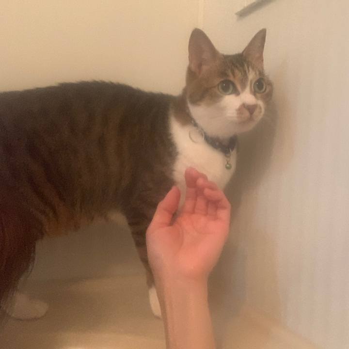 Aa190b92 7faa 4ce7 94d4 6ea3a0ccc176 1649590809895