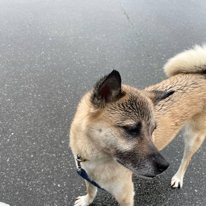 Aa1918f9 d918 4235 bbec fe643c631177 1651224389040