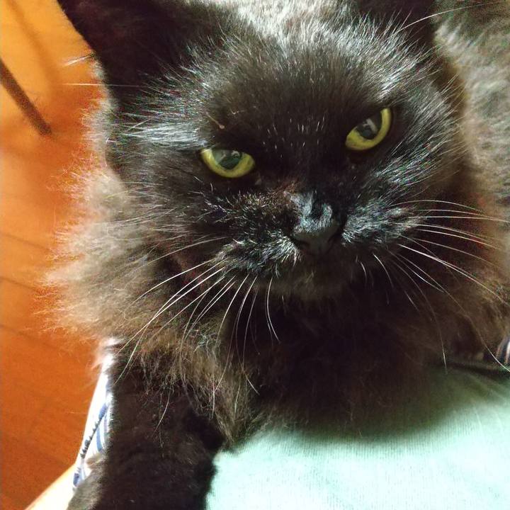 Aa191b90 db28 41bd a61a 2f218a592839 1657018894838