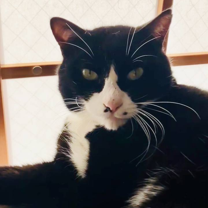 Aa193636 c230 42fd b437 dcd6073c6952 1735016222921