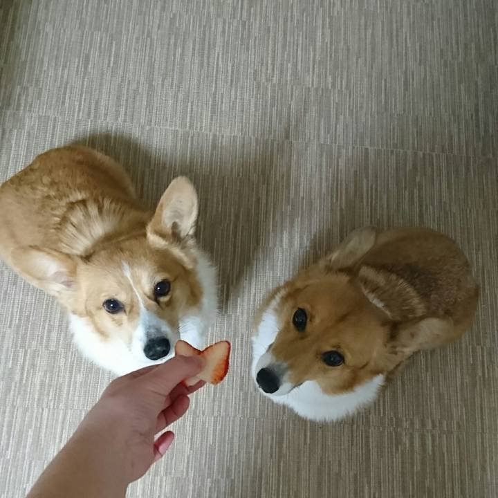 Aa1949e4 b80e 4a88 93e2 50211c035cff 1549189308105