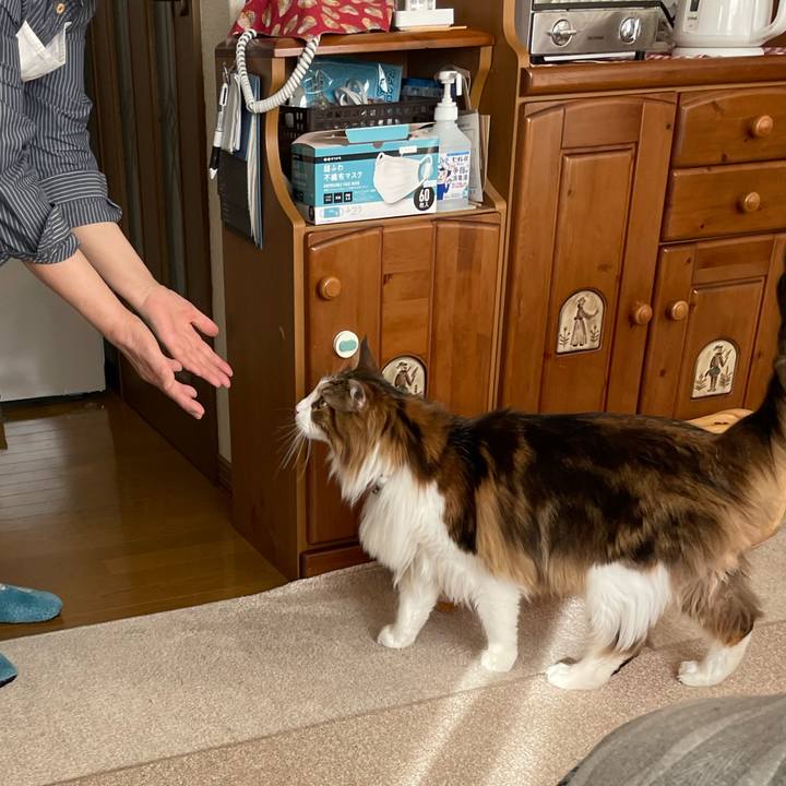 Aa196a0f 5edf 413a b857 068b46773ba3 1678491135791