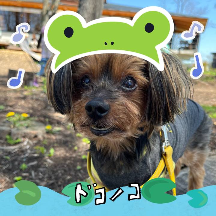 Aa19dcab 71a3 472e 94f8 3e1876c1e6b9 1717553877316