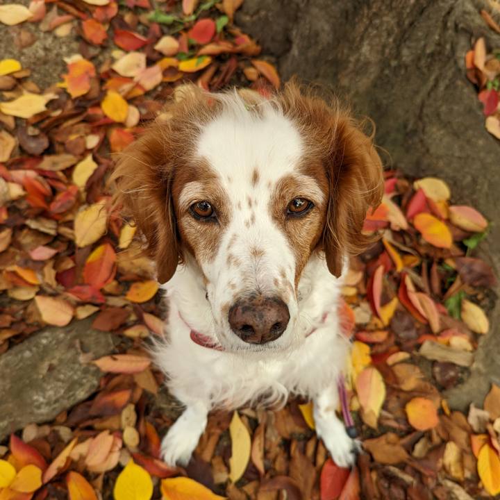 Aa19ec93 0f9b 453f 9514 1db3f13c7ce8 1668416449074