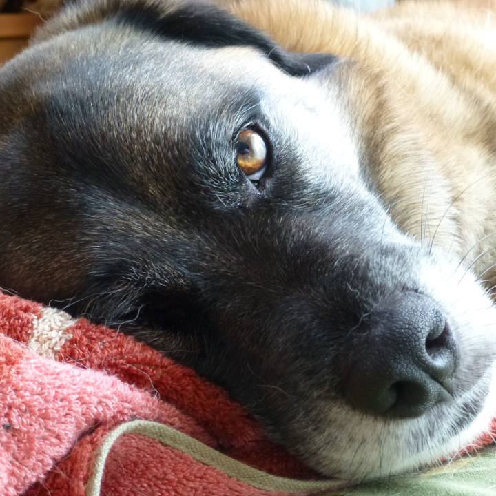 Aa1a1abd 3934 41db 9121 e9cad01a5a47 1578876774484