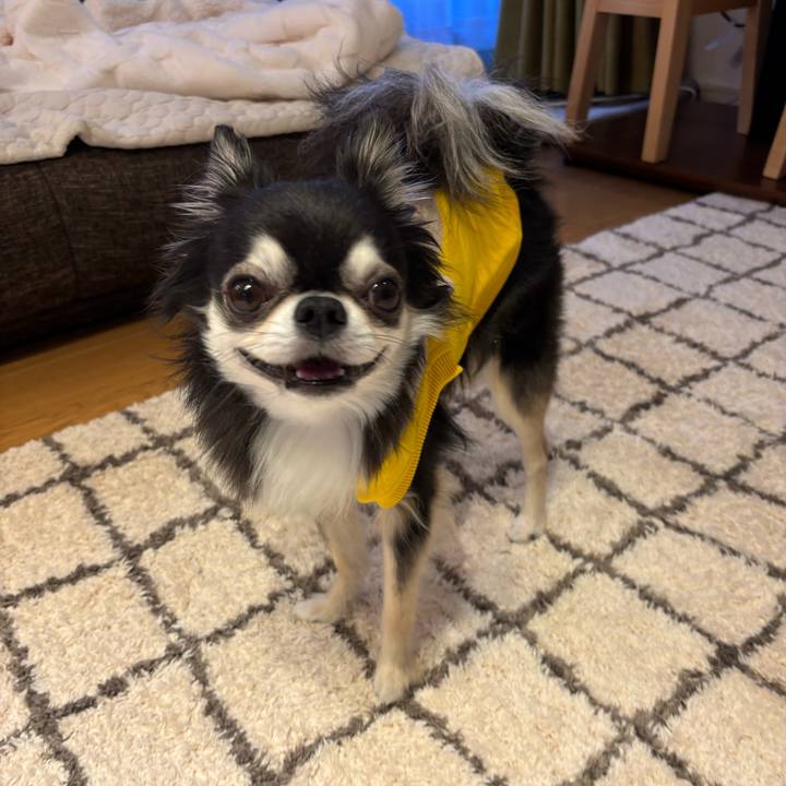 Aa1a376c ca5d 4e82 be52 84829a58c2d1 1735922371707