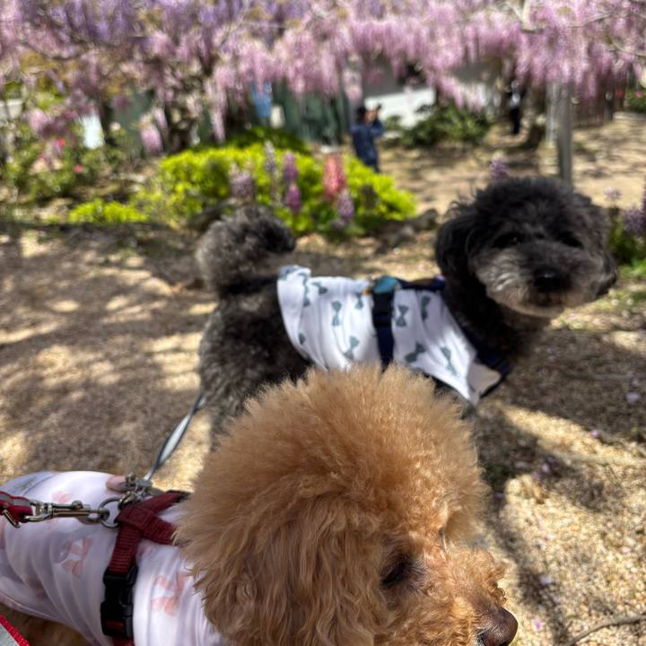 Aa1a3cff 0024 4d06 9212 b47f7f95eb5a 1747230122319