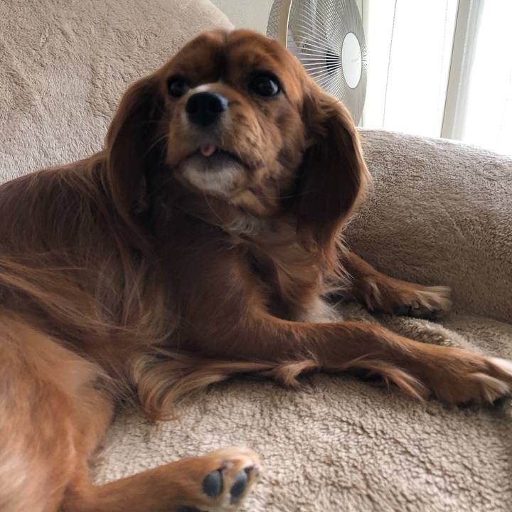 Aa1a5c1b a64c 4423 9e94 d0fd6fb23276 1557153017468