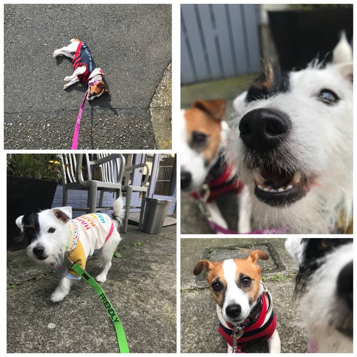 Aa1ab26e 6dc4 4f37 af6d 46d2a8f48be0 1509760782240