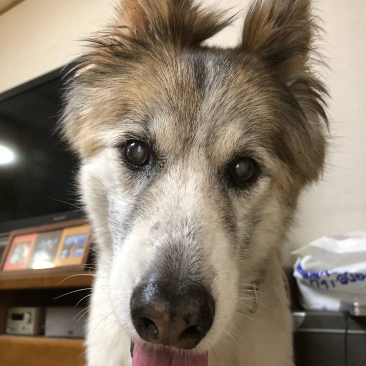 Aa1ae4a6 3ad6 44f6 a3bc e0aa6a06ef15 1536797410194