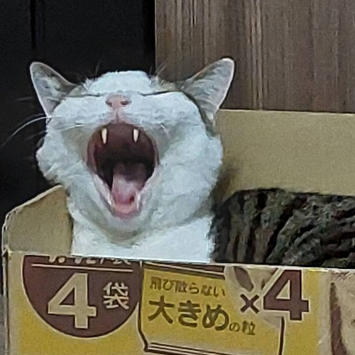 Aa1b8086 1d39 4ba9 abe6 4595d2dcd63e 1744802345476