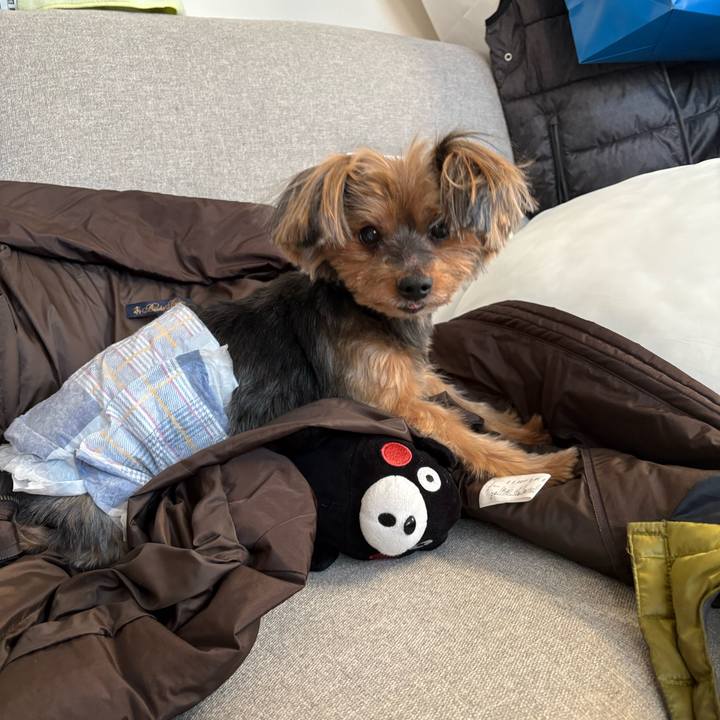 Aa1b896f 5fea 4e2b b945 dcab4646b354 1736504893124