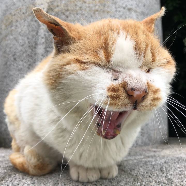 Aa1c1f3c 25d6 43e2 9ba9 53b0e49f7a2c 1525950303040