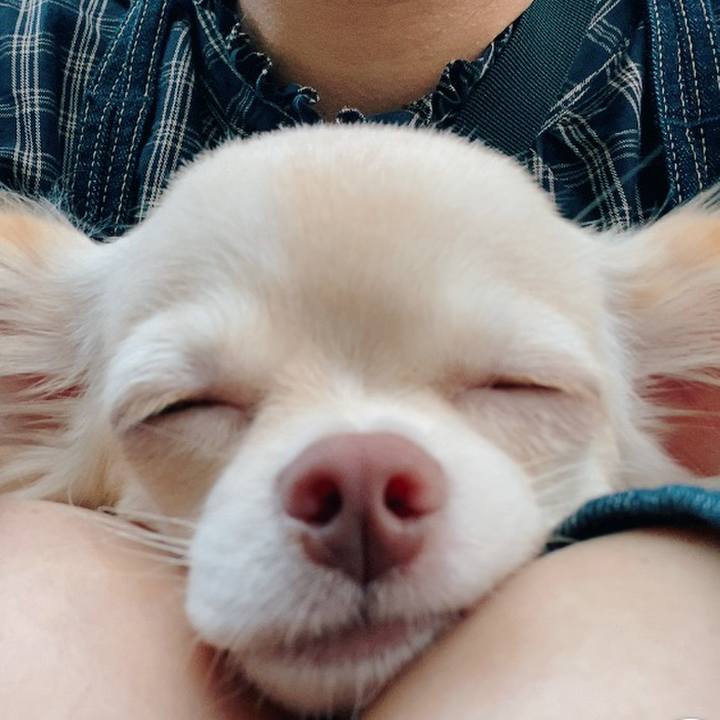 Aa1c675f 6933 4b62 83fa d085acdb1fd1 1600674038621