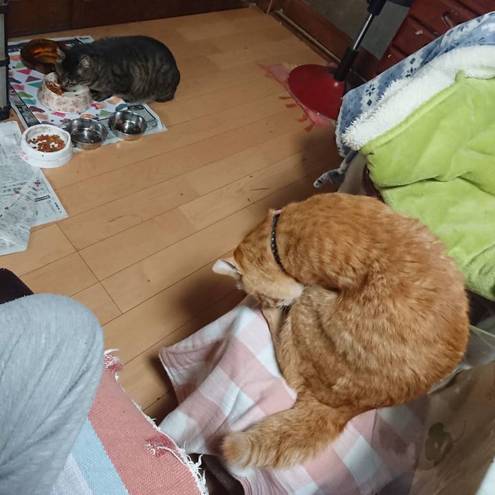 Aa1c6bea bbd8 4833 987a 603b165d4fb5 1652088291922