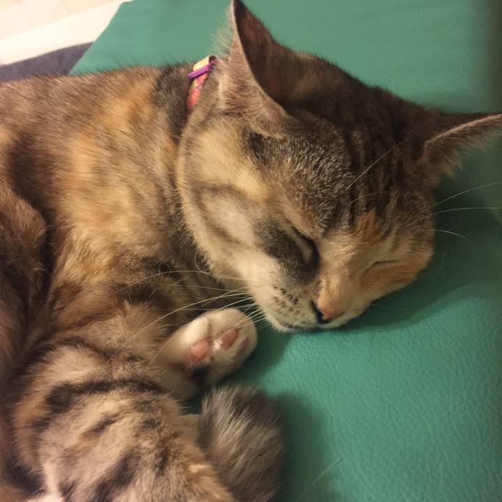 Aa1c7472 7601 4769 9dd0 224e8c913705 1559825466541