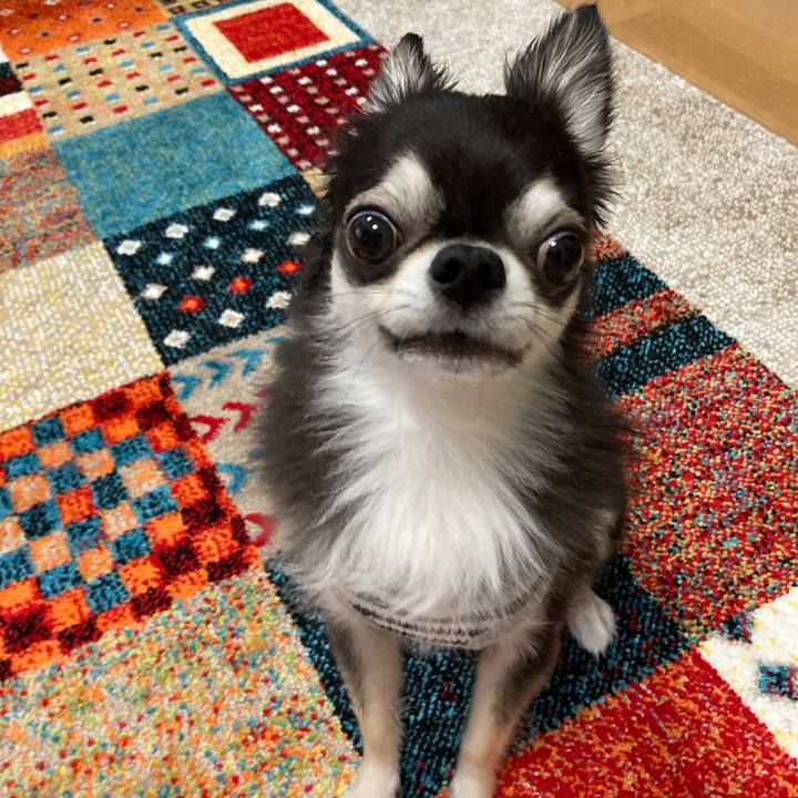 Aa1ca5a0 6e0d 4b57 b357 2532ff9a0a6f 1685806854985