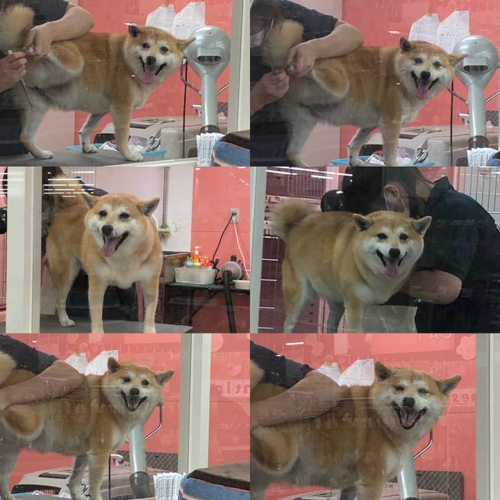 Aa1cac96 9e44 440e 9fdc d522faeb10ca 1549804107907