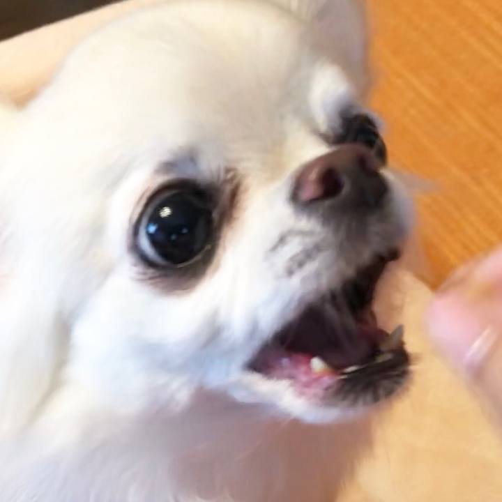 Aa1cbba9 b8df 4d29 8b98 6be306cbe322 1532138160458