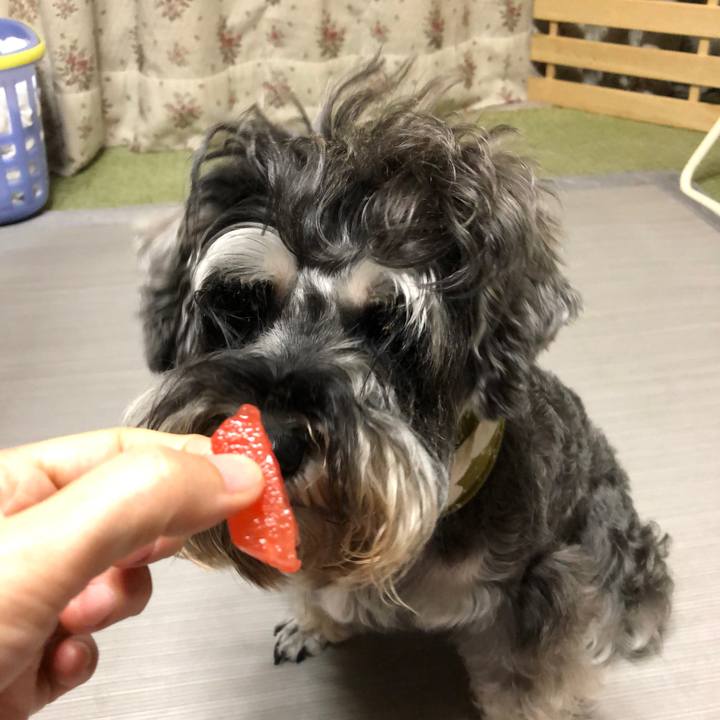 Aa1cbd5a e87d 4ae7 9727 41ed24a6d98a 1565876757156