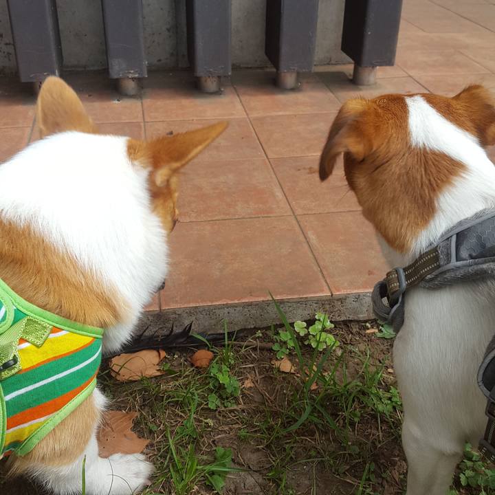 Aa1d00c7 c2ea 48e3 9638 cd12f3fae63e 1565401500771