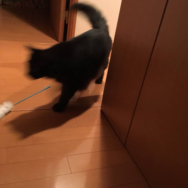 Aa1d256c bc65 4f6b a187 80b86d4b1570 1538543293698