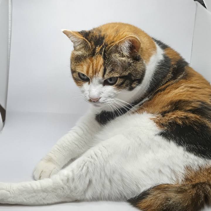 Aa1d29b3 dd88 47a6 b5af 9528ccd05790 1604735336347