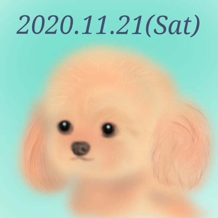 Aa1e17ff 58dd 4b31 8804 812657c3dd11 1605962519025