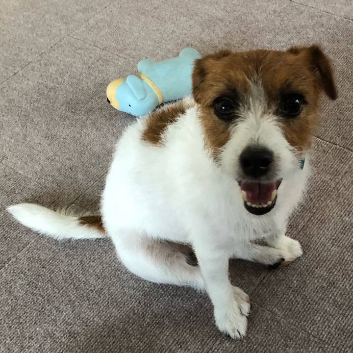 Aa1e1b6c 77b9 478b b90f 64aa53d4c3dc 1533666031612