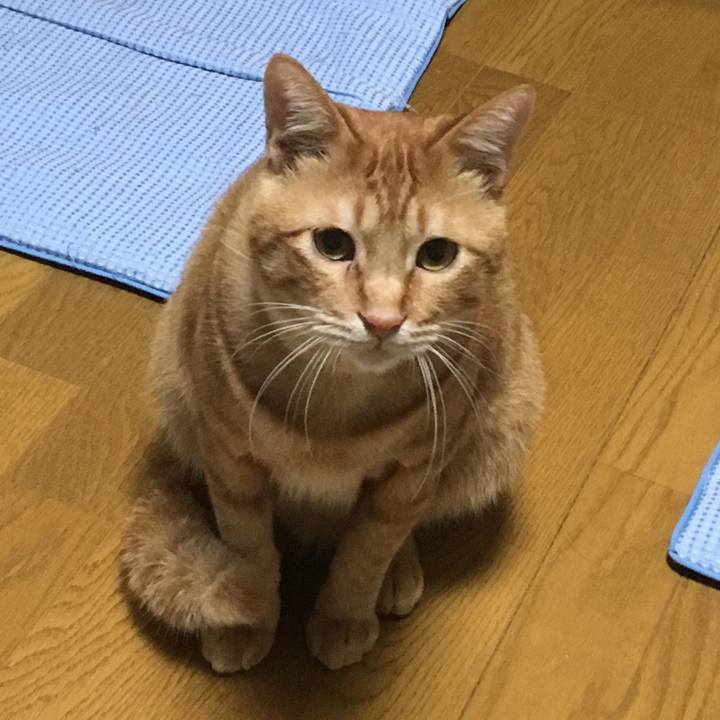 Aa1e2f4f 0e36 4c00 a5fb 51c72694e478 1540219854026