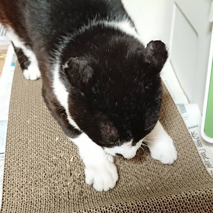 Aa1e3c0b 2738 4734 b54e c9f7ad6be428 1618721661655