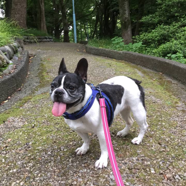 Aa1e647c 52b3 4e94 8a83 6624fa41904a 1608693640047