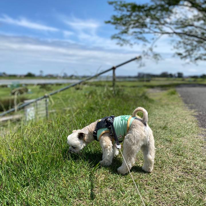 Aa1e6b45 91c1 457f 8951 85cc542c1355 1590216104317