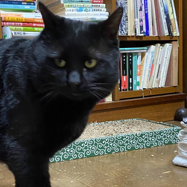 Aa1e7201 c2be 46ff 9cf2 1fc7986dcdc1 1639828167010